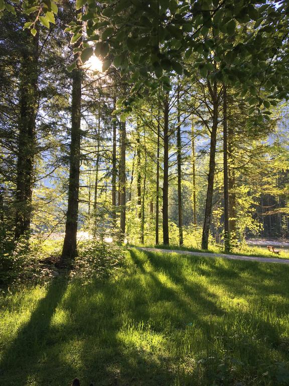 Landhaus Lilly Obertraun Eksteriør bilde