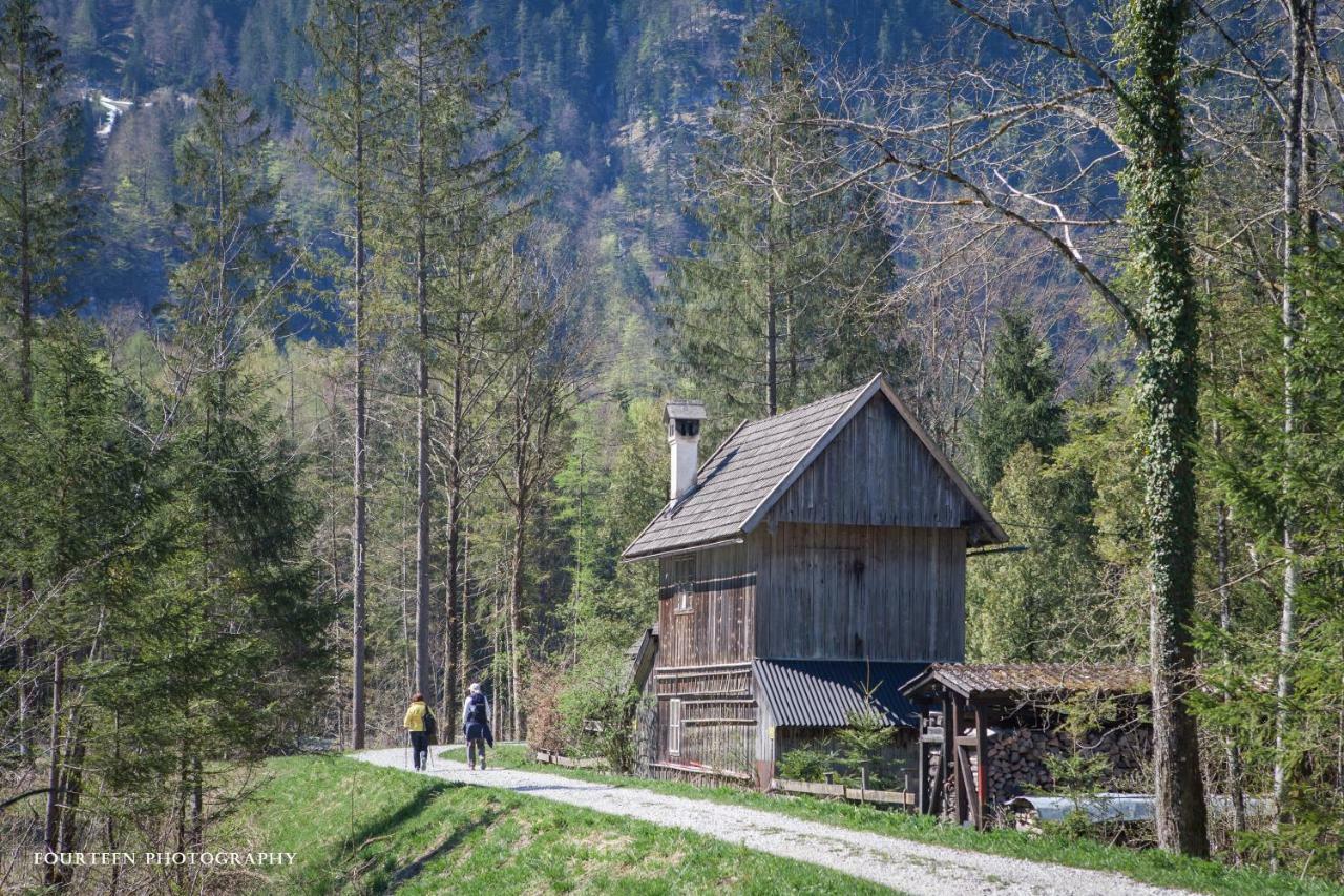 Landhaus Lilly Obertraun Eksteriør bilde